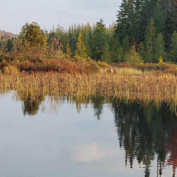 Meet your Posher, Chris - Picture 1 of 1